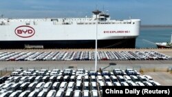 在中国江苏连云港等候装船出口的比亚迪电动车。(2024年4月25日)