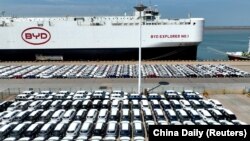在中国江苏连云港等候装船出口的比亚迪电动车。(2024年4月25日)