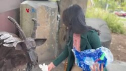 Jalan, Yuk!: Kambing Tempat Sampah Ikonik Kota Spokane Jalan, Yuk!: Kambing Tempat Sampah Ikonik Kota Spokane