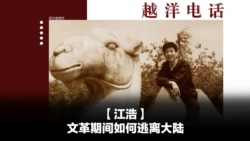 越洋电话:“少数派” - 江浩:文革期间如何逃离大陆 越洋电话:“少数派” - 江浩:文革期间如何逃离大陆