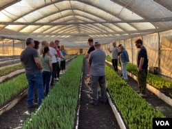 工作结束后,农场主人阿维 (Avi)带着大家参观种植郁金香的温室,并导览解说。(美国之音/赖素芬)