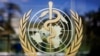 资料照片：世界卫生组织的标志。