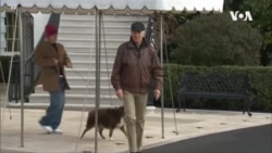 拜登对台湾选举的反应 拜登对台湾选举的反应