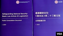 香港保安局表示,为期约一个月的《基本法》23条立法公众咨询,收到超过1万3千份意见书,当中接近99%表达支持及正面的意见 (美国之音/汤惠芸)