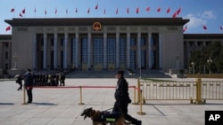 资料照片:第十四届中国全国人大二次会议在北京闭幕前,人民大会堂外的警察和警犬。(2024年3月11日)