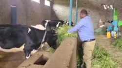 ኣፍረይቲ ጸባ ከባቢ ከተማ መቐለ ዳግም ኣብ ምብርባር ኣፍረይቲ ጸባ ከባቢ ከተማ መቐለ ዳግም ኣብ ምብርባር