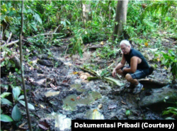 Bill Laurance, pakar ekologi tropis dari James Cook University, Australia. (Dokumentasi Pribadi)