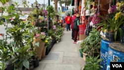 洛杉矶唐人街路边的花店 (美国之音/张木林)