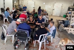 这群来帮忙的人都是从小就认识农场女主人哈加尔的同班同学。他们都是在以色列南部沙漠地带里的阿拉德(Arad )城市一起长大,至今相识已60年。这群67岁上下的同窗好友,一边工作,一边聊天叙旧。(美国之音/赖素芬)