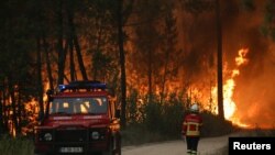 Seorang petugas pemadam kebakaran meninjau kebakaran hutan di Ourem, distrik Santarem, Portugal 12 Juli 2022. (REUTERS/Rodrigo Antunes)