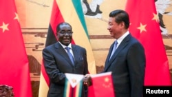 中国国家主席习近平在北京人大会堂会见到访的津巴布韦总统穆加贝。(2014年8月25日)