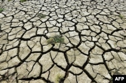 中国重庆段长江因干旱裸露的河床。(2022年8月16日)