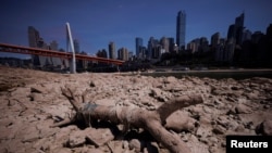 中国重庆段长江因干旱裸露的河床。(2022年8月18日)