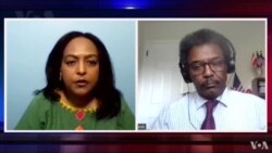 ቃለ መጠይቕ ምስ ፕሮፌሰር መንግስትኣብ ተስፋሃንስ