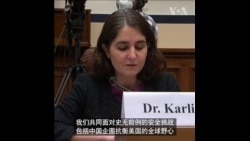 美国防部官员:巩固同盟对美战略优势至关重要 美国防部官员:巩固同盟对美战略优势至关重要