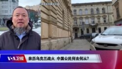 时事大家谈:亲历乌克兰险境 中国公民何去何从? 时事大家谈:亲历乌克兰险境 中国公民何去何从?