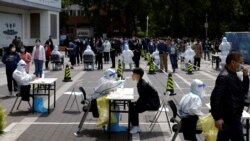 上海防疫放“软” 民众反抗让政府畏惧?进京路口重兵把守 北京“被上海”了? 上海防疫放“软” 民众反抗让政府畏惧?进京路口重兵把守 北京“被上海”了?