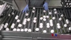 ကြက်ဥဈေး၊ ငွေကြေးဖေါင်းပွမှုနဲ့ ကုန်ဈေးနှုန်း ကြက်ဥဈေး၊ ငွေကြေးဖေါင်းပွမှုနဲ့ ကုန်ဈေးနှုန်း