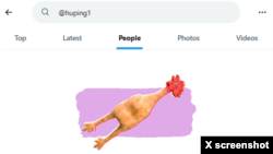 网友杨子立提供的搜索《北京之春》荣誉主编胡平推号失败的截图。这位网友指出,最近推特爆出很多中国异议人士被shadow ban, 也就是暗中作梗,让黑名单上的人的推文不可见,或者人搜不到。