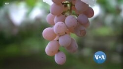 အာရှစီးပွားရေး အာရှစီးပွားရေး