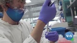 LogOn: DNA Molecules May Ease Future Data Storage Crunch  LogOn: DNA Molecules May Ease Future Data Storage Crunch