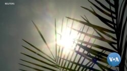 ወቕዒ ዋዒ ኣብ ቍጠባ ወቕዒ ዋዒ ኣብ ቍጠባ