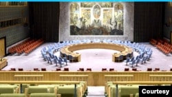 资料:联合国安理会 (网页截屏)