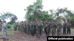 TNLA ခေါ် ပလောင်တပ်ဖွဲ့