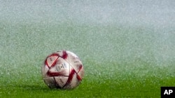 卡塔尔多哈一处球场训练前摆在草场的一个足球。(2022年12月12日)