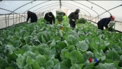 ၂၀၂၂ အာရှ စီးပွားရေး အနှစ်ချုပ် ၂၀၂၂ အာရှ စီးပွားရေး အနှစ်ချုပ်