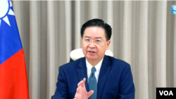 视频截图:台湾外交部长吴钊燮当地时间2022年11月4日通过Skype接受美国之音驻美国国务院记者站主任张蓉湘的专访。