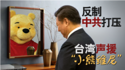 海峡论谈:反制中共打压 台湾声援“小熊维尼” 海峡论谈:反制中共打压 台湾声援“小熊维尼”