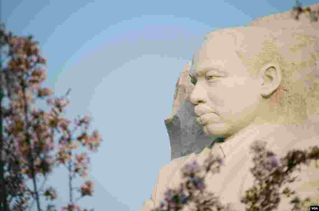 潮汐湖畔有马丁·路德·金雕像。2018年4月4号是美国民权运动领袖马丁·路德·金遇刺50周年纪念日。这位诺贝尔和平奖获得者在1968年遇刺身亡。纪念园位于两位美国前总统托马斯.杰斐逊和林肯的纪念堂之间。