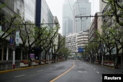 资料照:上海封城期间行道树已经长出绿叶。(2022年4月14日)