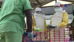 Việt Nam phát hiện 2 người nghi nhiễm Ebola Việt Nam phát hiện 2 người nghi nhiễm Ebola