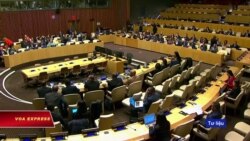 Việt Nam phản đối một quyết định của hội đồng LHQ Việt Nam phản đối một quyết định của hội đồng LHQ