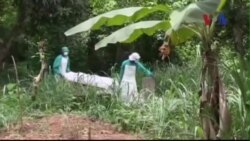 Quỹ của Bill Gates cam kết 50 triệu USD chống Ebola Quỹ của Bill Gates cam kết 50 triệu USD chống Ebola