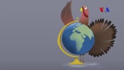 ကျေးဇူးတော်နေ့ အားလပ်ရက်ဆိုတာ