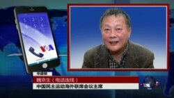 VOA连线:魏京生:国际刑警组织新任主席是威胁 VOA连线:魏京生:国际刑警组织新任主席是威胁