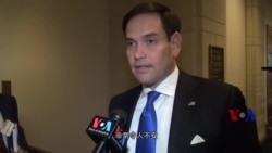 鲁比奥参议员接受美国之音专访 鲁比奥参议员接受美国之音专访