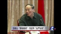 时事大家谈:王岐山 “禁地猎虎” 习近平“从严治党”? 时事大家谈:王岐山 “禁地猎虎” 习近平“从严治党”?