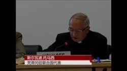 联合国吁梵蒂冈清除被控虐待儿童神职人员 联合国吁梵蒂冈清除被控虐待儿童神职人员