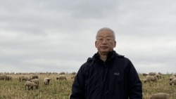 “集中力量办坏事办蠢事的典型” 王维洛回顾三峡、南水北调决策上马始末