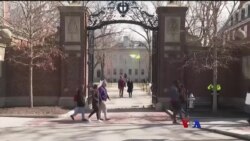 ယူကရိန်းဒုက္ခသည် ကူညီရေး ဟားဗတ်ကျောင်းသား ၂ ယောက်ရဲ့ Website ယူကရိန်းဒုက္ခသည် ကူညီရေး ဟားဗတ်ကျောင်းသား ၂ ယောက်ရဲ့ Website