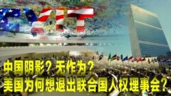时事大家谈:联合国人权理事会无作为?美国为何想退出? 时事大家谈:联合国人权理事会无作为?美国为何想退出?