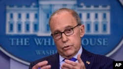 白宫首席经贸顾问、白宫国家经贸委员会主任拉里•库德洛在白宫的一个吹风会上讲话。(资料照片)