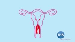 လိင်ကတဆင့်ကူးစက်ရောဂါများ နောက်ဆက်တွဲဆိုးကျိုး လိင်ကတဆင့်ကူးစက်ရောဂါများ နောက်ဆက်တွဲဆိုးကျိုး