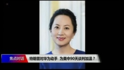 焦点对话:特朗普对华为动手,为美中90天谈判加温? 焦点对话:特朗普对华为动手,为美中90天谈判加温?