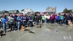 民众在缅因海滩聚集 追思芭芭拉·布什女士 民众在缅因海滩聚集 追思芭芭拉·布什女士