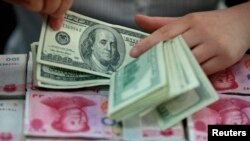 资料照：一名银行职员在安徽省一家银行里点数美元。